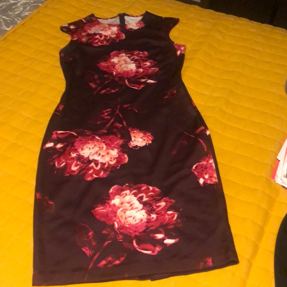 Women’s dress